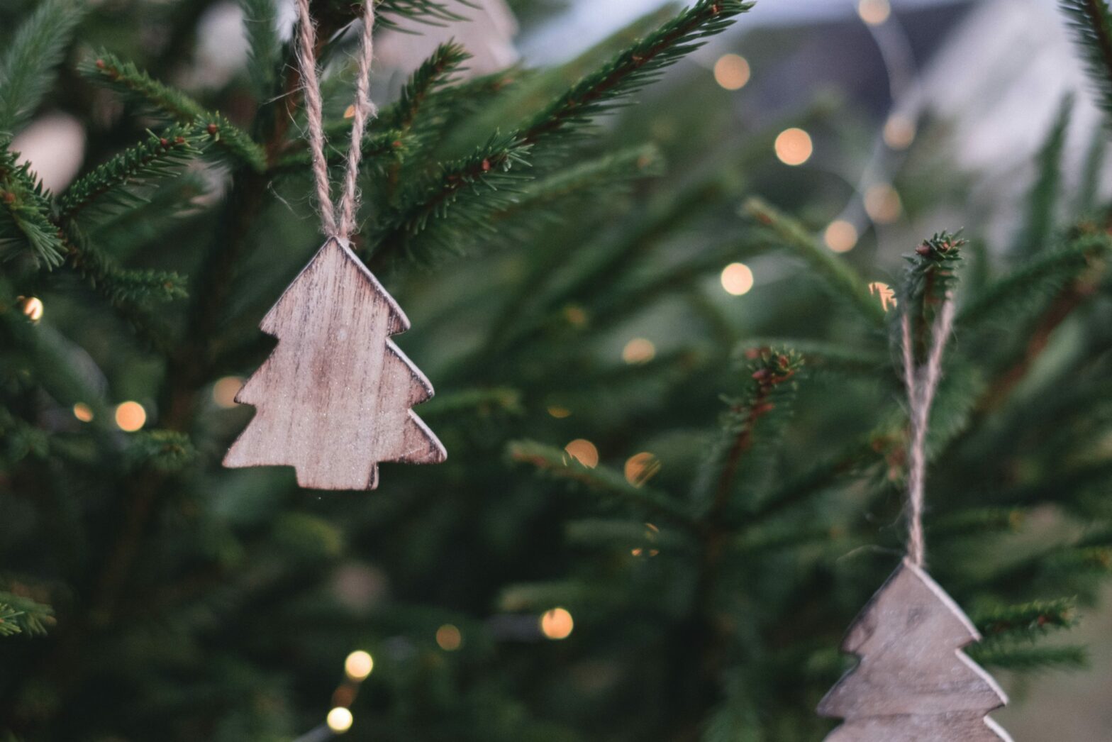Blog-Naughty or Nice? How to have a Green Christmas