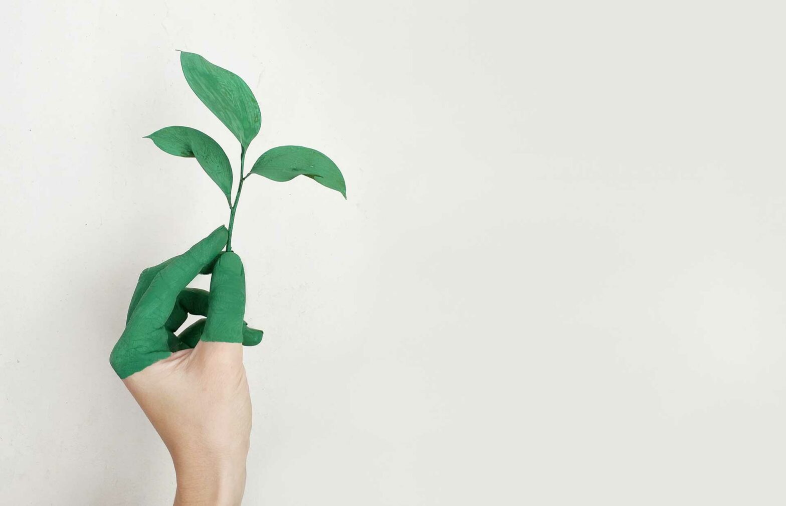 Blog-Have you heard the latest greenwashing definitions?