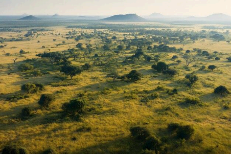 Blog-Understanding Carbon Sequestration and the Vital Role of Carbon Sinks